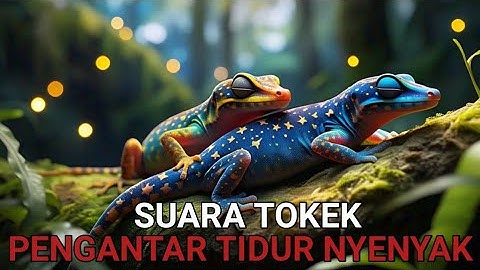 Cận Cảnh Rõ Nét Con Tắc Kè - Hình Ảnh Và Tiếng Tắc Kè Kêu - Picture And Sound Of Tokay Gecko #30