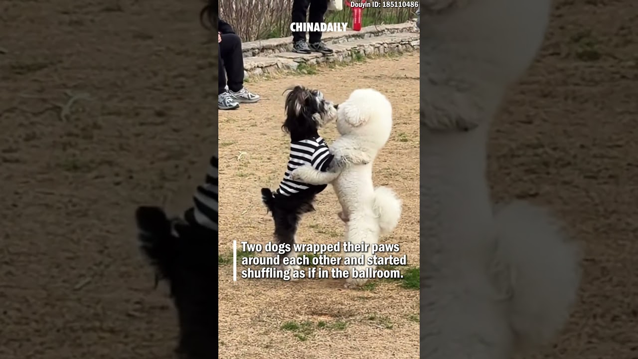 When you find your perfect dance partner