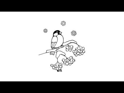 Video: Cómo Dibujar Un Camachuelo