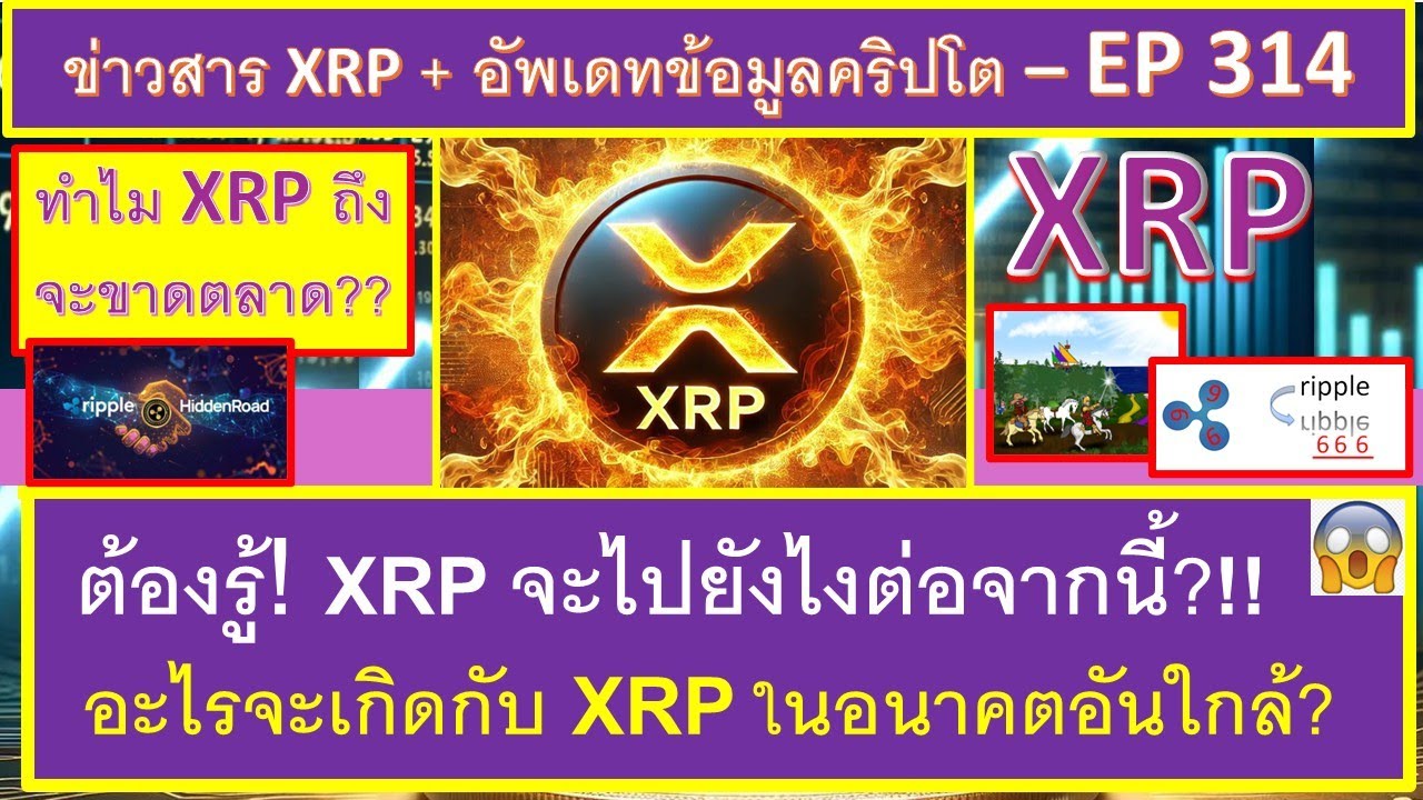 ชาว XRP ต้องรู้ 🤔 XRP จะขาดตลาด?😮 ข้อมูลสำคัญเกี่ยวกับ XRP😧 +สิ่งที่จะเกิดขึ้นในอนาคตอันใกล้😮- EP314