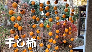 【ルンルンの裏庭】お父さんアラン監修の下で干し柿を作る