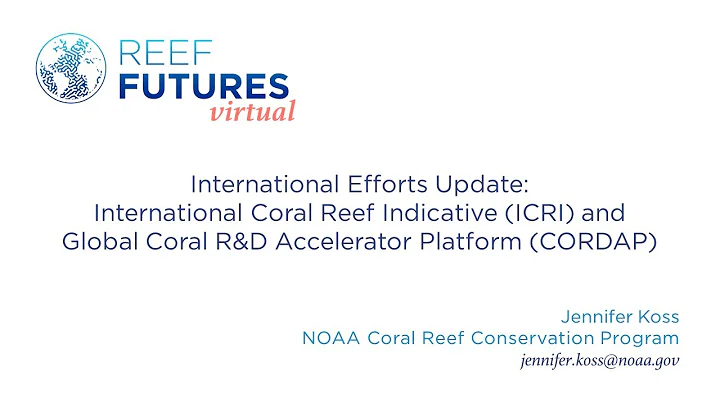 International Efforts Updates (Jennifer Koss)