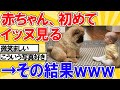 【2ch動物スレ】イッヌ氏、初めて人間の赤ちゃんを見る→その結果wwwwww