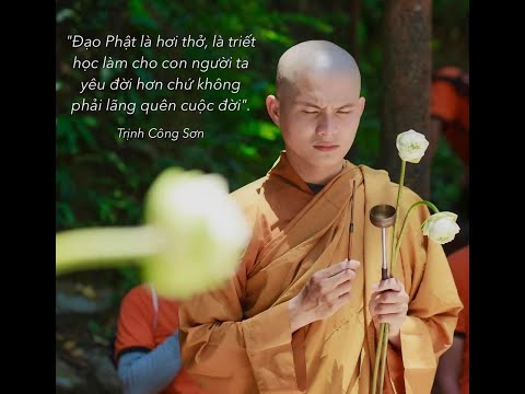 Video SƯ GIÁC MINH LUẬT GIẢNG LỚP PHẬT HỌC ONLINE... - youtube