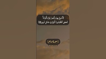 سورة مريم الآية ٣٦ الى ٤٠ بصوت الشيخ محمد صديق المنشاوي