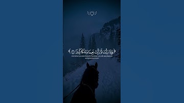 عينا فيها تسمى سلسبيلا || القارئ محمد اللحيدان #تلاوة_هادئة