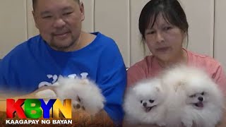 KBYN: Pomeranians nakatulong sa kondisyon ng lalaking nastroke