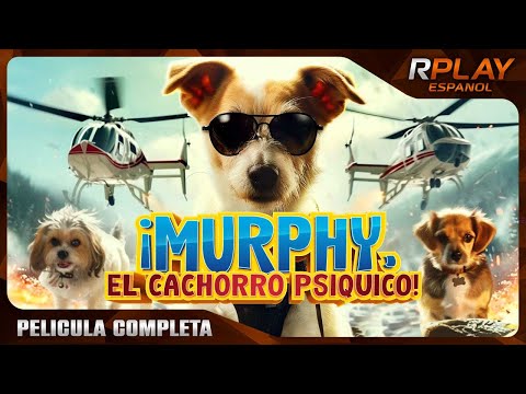 ¡MURPHY, EL CACHORRO PSIQUICO! | FAMILIAR | RPLAY PELICULA COMPLETA EN ESPAÑOL LATINO