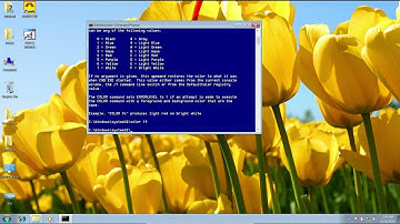Odia Operating System Class DOS  : Change UI Color Color Command