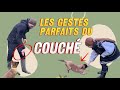 Mes astuces  conseils pour apprendre le couch  un chiot ds lge de 2 mois