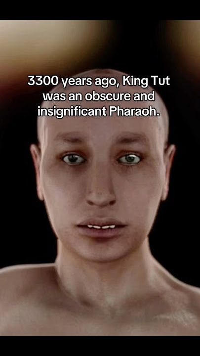 And now he is one of the most famous pharaohs! #history #art #painting