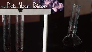 Pick Your Poison Net Worth