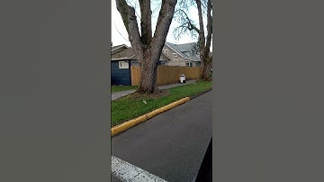 Hood  Delivery Robot Peeped us, Peeping Him... He Stopped and Peeped Us 😳😬🤣!!!