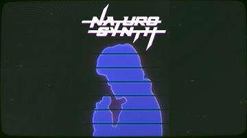 NaturoSynth - The Image (Music Video)