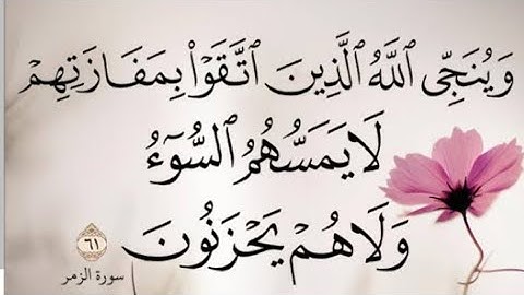 قراءة رائعة للشيخ يونس اسويلص من سورة الزمر