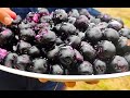 Jamun fruit | நாவல் பழம் | Black plum