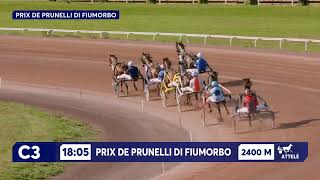 Vidéo de la course PMU PRIX DE PRUNELLI DI FIUMORBO