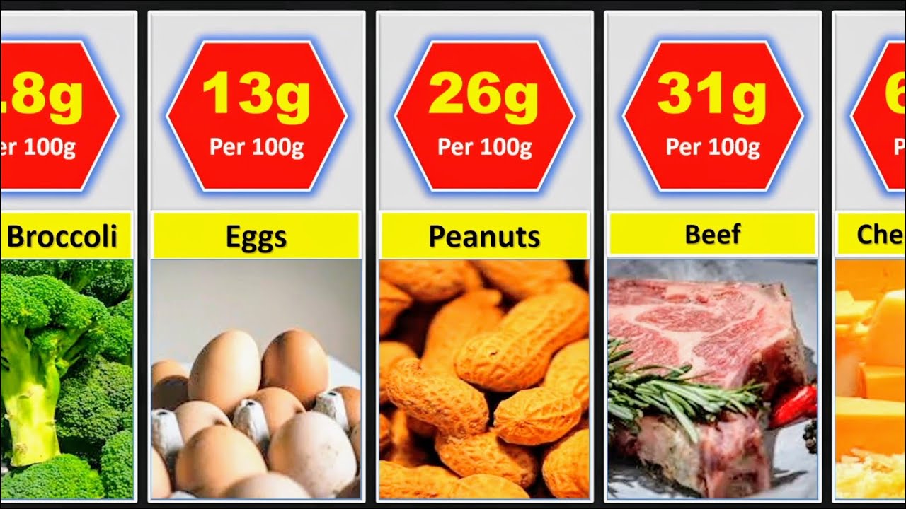 Highest Protein Foods in the World 2025 | Ultimate Comparison for Muscle & Health