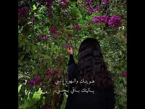 هويتك عبدالله ال مخلص وغريب ال مخلص تصميم شيلات بدون حقوق 