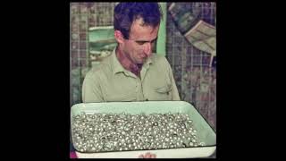 The Australian Pearl Story Begins