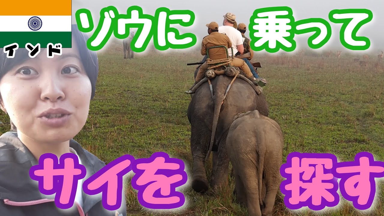 India 03 Funtastic Experience Watch Rhinos Riding On Elephant At Kaziranga National Park Youtube