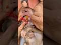 Baby monkey can easily choke on food if they eat large pieces,so I tore the food into smaller pieces