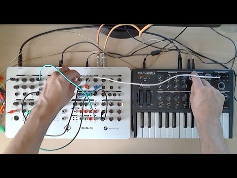 MicroBrute and PHENOL CV Connection