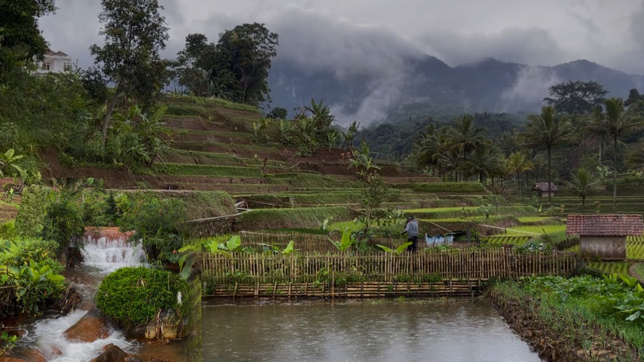 Sore Setelah Hujan di Desa Pegunungan | Kabut Turun & Sungai Mengalir Tenang