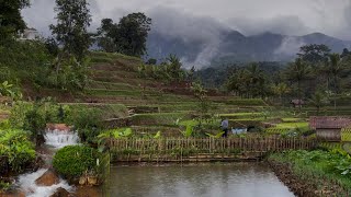 Download Lagu Sore Setelah Hujan di Desa Pegunungan | Kabut Turun \u0026 Sungai Mengalir Tenang MP3