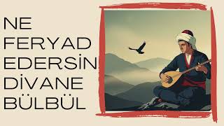 Ne Feryad Edersin Dîvâne Bülbül Senfonik Orkestra Versiyonu