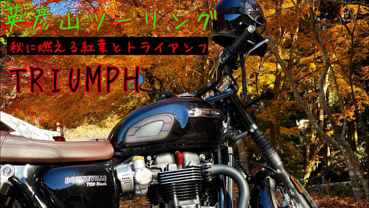 秋に燃える紅葉とトライアンフ　英彦山ツーリング　triumph bonneville t120 black