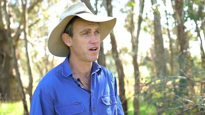 Is is possible to sustain farms through droughts? FMNR (Farmer Assisted Natural Regeneration)