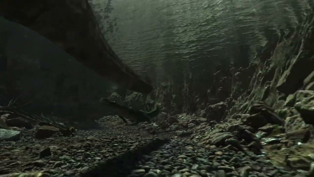 Metriorhynchus | Prehistoric reptile | Dinosaur Video 