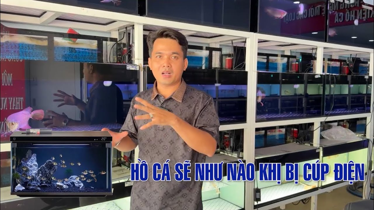 Xử lý như thế nào khi bị cúp điện trong thời gian dài với HỒ CÁ của mình ?