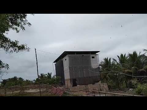 Suara Panggil Respon Mantap ‼️ SP.Birahi Lintasan