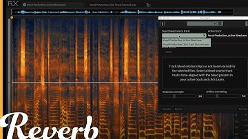 iZotope RX 6: De-Bleed, Breath Control, Spectral De-Esser & De-Plosive on Vocals | Reverb Demo Video