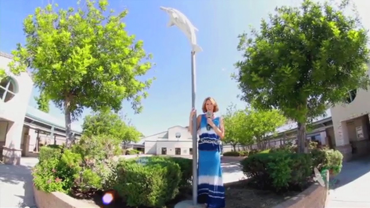 The Buzz, Calabasas Events Week of Aug 25th (Bay Laurel Elementary