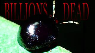 The Most EVIL Bugs Of All Time