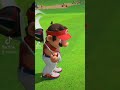 If Tiger Woods Plays Mario Golf