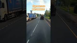 яд на обочине #driver #truck #дальнобой #дальнобойщики #камаз #россия