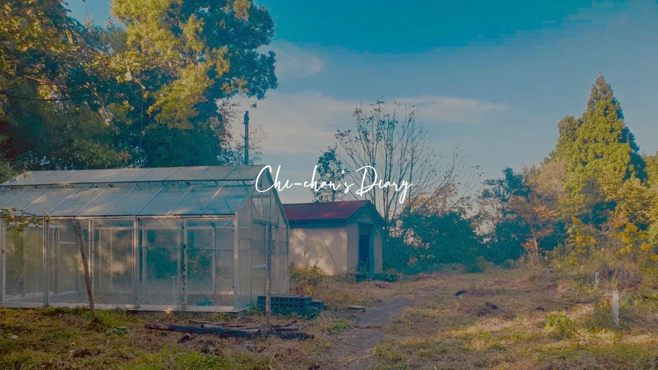 일본 한적한 시골마을 3500만원 빈집을 샀어요 | vol.1 /국제커플 /이시카와현/호쿠리쿠 | 350万円の日本の空き家を購入 | vol.1 /国際結婚/韓国在住/石川県