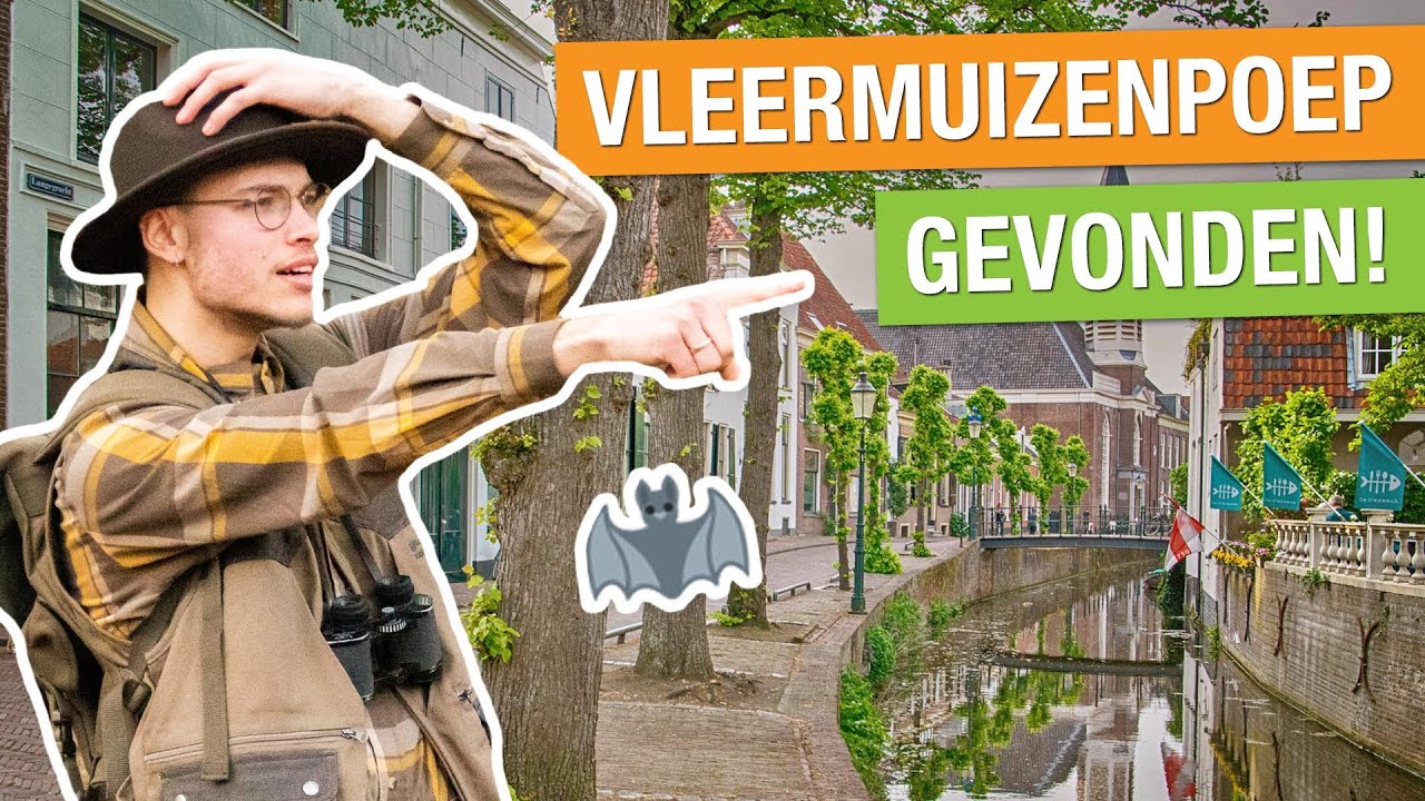 WOW! IK ONTDEK DE NATUUR IN DE STAD + VLEERMUIZENPOEP GEVONDEN! 🦇 | Woudwachter Robin #3