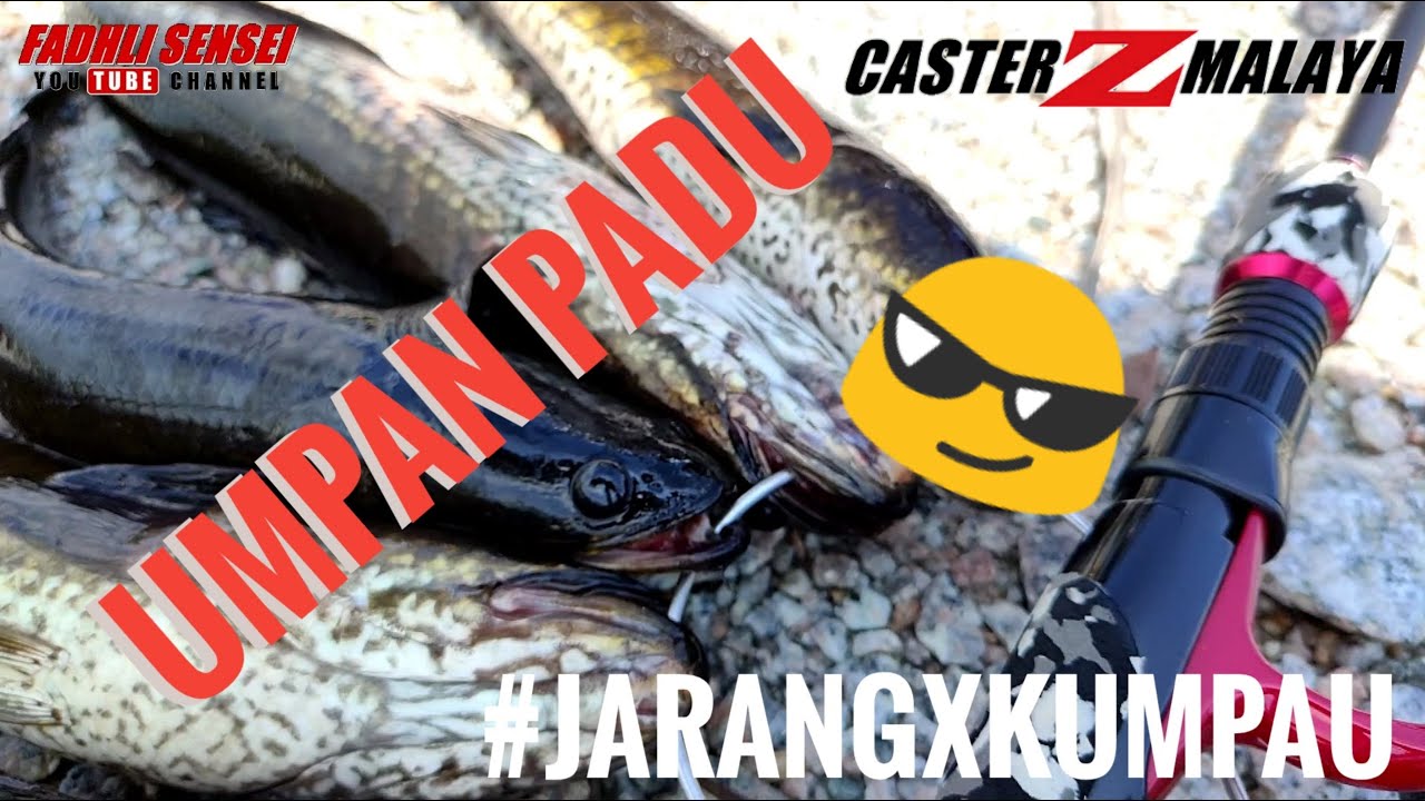 UMPAN KILLER HARUAN | Casting Haruan Guna Softplastik Kecil | Haruan Frenzy | SNAKEHEAD FISHING