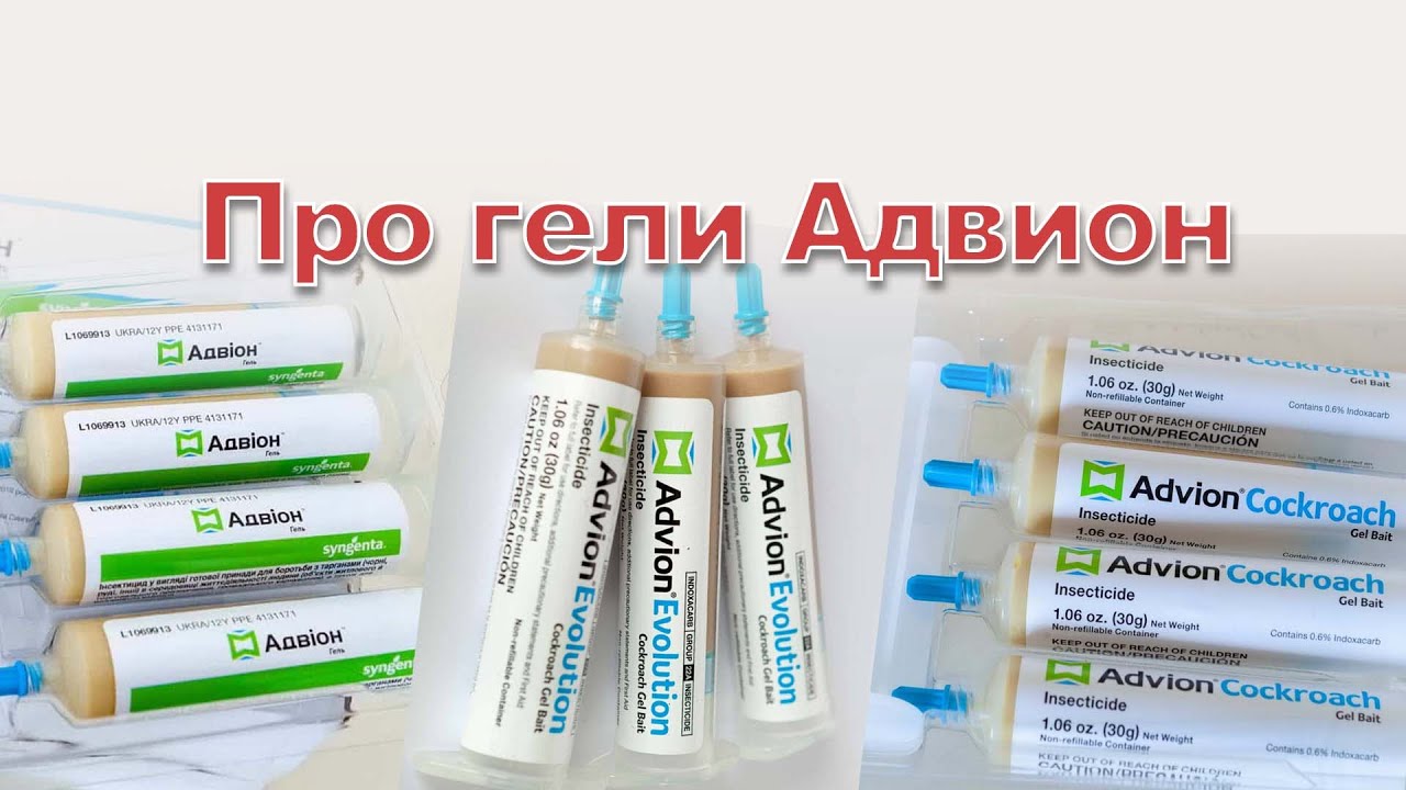 Средства от тараканов Адвион, Advion Cockroach, Advion Evolution: схожести, различия, важные детали