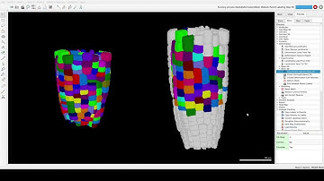 Tutorial Video S7 3D semi automatic parent labelling and growth map generation