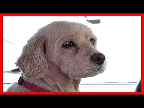 Convolution Kernel Sharpen ~ Sony Vegas Examples