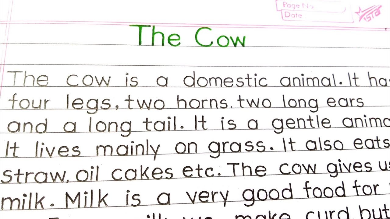 write the essay on cow