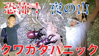 【クワガタ・カブトムシ】夜の山へクワガタ採集に行ったらまさかの事件の連続！！恐怖と興奮の夜の山・・・