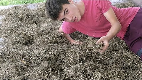 Trying To Find A Needle In A Haystack