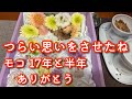【愛犬との別れ】亡くなる1週間前からの記録 #ペットロス #シニア犬 #トイプードル